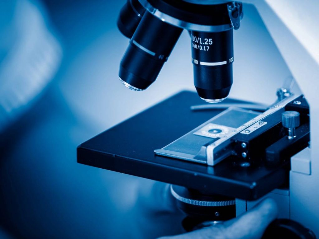 Microscópio eletrônico quântico do Prof. Ido Kaminer no Technion capturando o movimento da luz em nanoescala.