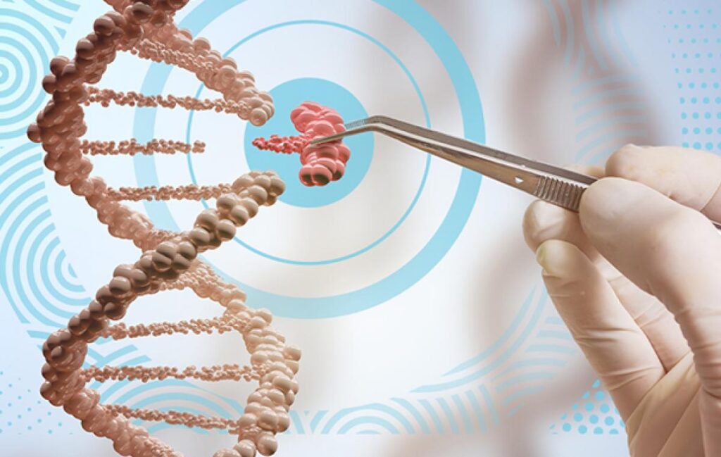 Tecnologia CRISPR para diagnóstico rápido de superfungos em laboratório de Harvard