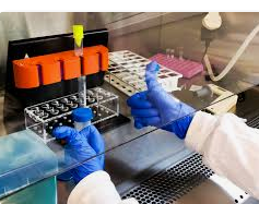 Pesquisador em laboratório utilizando luvas azuis e jaleco branco, fazendo sinal de "positivo" com o polegar enquanto manipula amostras em tubos de ensaio dentro de uma capela de exaustão.