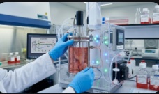 Uma imagem de close-up fotorrealista de um segmento de esôfago bioengenheirado de 2,5 cm, mantido dentro de um biorreator de vidro transparente com perfusão de meio de cultura rosa, em um laboratório sofisticado da UCL/GOSH. Uma mão enluvada de sterile blue nitrile ajusta um sensor.